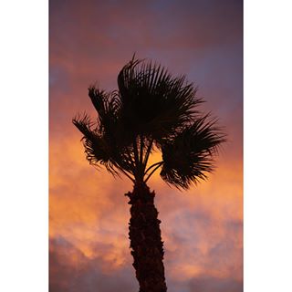 USERS PHOTO