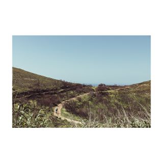 USERS PHOTO
