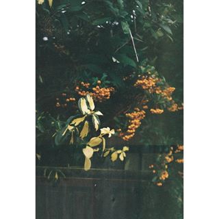 USERS PHOTO
