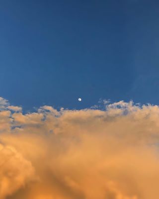 USERS PHOTO